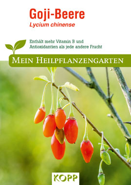 Goji-Beere - Mein Heilpflanzengarten_small