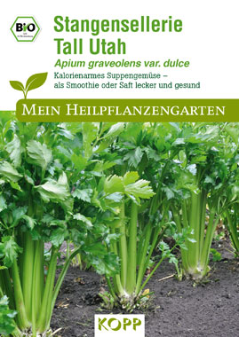 BIO Stangensellerie Tall Utah - Mein Heilpflanzengarten_small