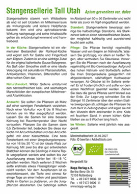 BIO Stangensellerie Tall Utah - Mein Heilpflanzengarten_small01